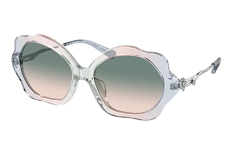 solbrille Coach C9200 (HC8346BU 56422C)
