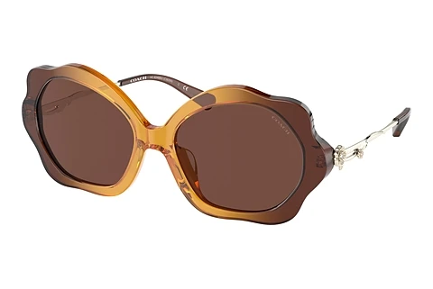 solbrille Coach C9200 (HC8346BU 57016G)