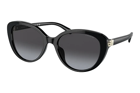 Ophthalmic Glasses Coach CD479 (HC8348U 50028G)