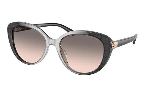 Ophthalmic Glasses Coach CD479 (HC8348U 57103B)