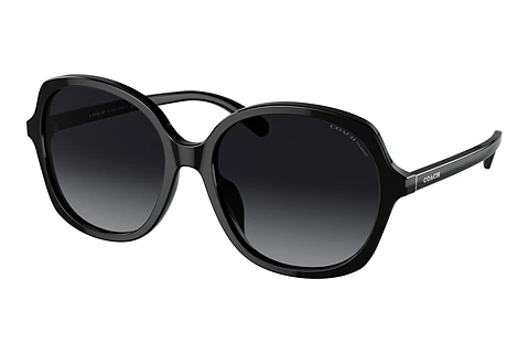 Ophthalmic Glasses Coach CH557 (HC8360U 5002T3)