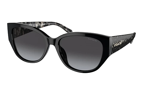 solbrille Coach CH563 (HC8362U 50028G)