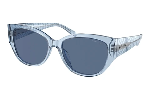 solbrille Coach CH563 (HC8362U 574080)