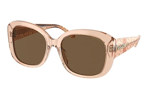 Ophthalmic Glasses Coach CH564 (HC8363U 556173)