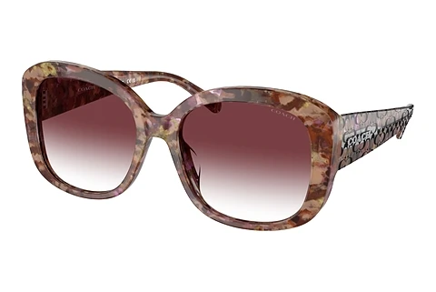 Ophthalmic Glasses Coach CH564 (HC8363U 57398H)