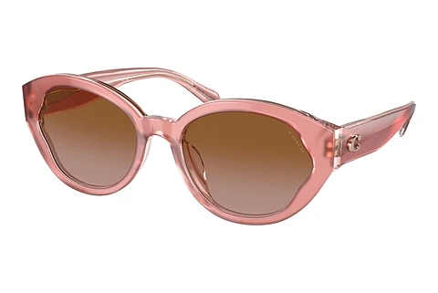 Ophthalmic Glasses Coach CH569 (HC8364U 574313)
