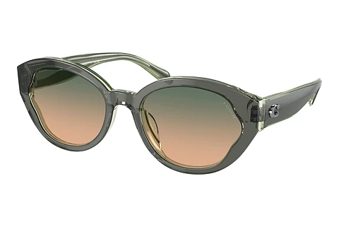 Ophthalmic Glasses Coach CH569 (HC8364U 574613)