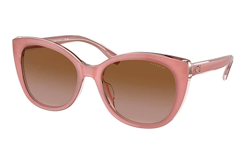 Ophthalmic Glasses Coach CH566 (HC8365U 574313)