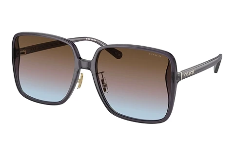 Ophthalmic Glasses Coach CH572 (HC8368D 575348)