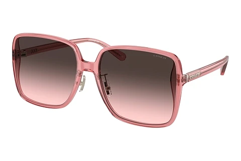 Ophthalmic Glasses Coach CH572 (HC8368D 580046)