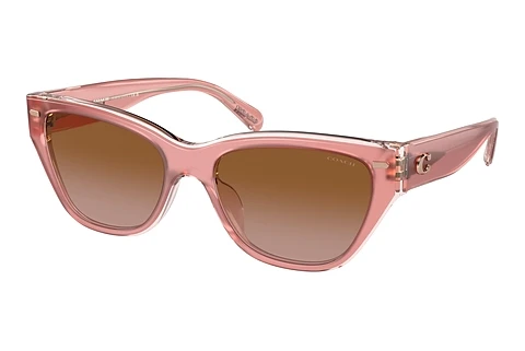 Ophthalmic Glasses Coach CH570 (HC8370U 574313)