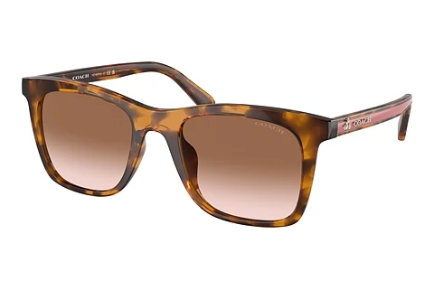 Ophthalmic Glasses Coach CH561 (HC8374U 512013)