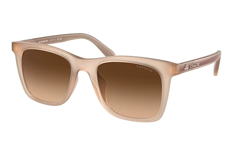 Ophthalmic Glasses Coach CH561 (HC8374U 574774)