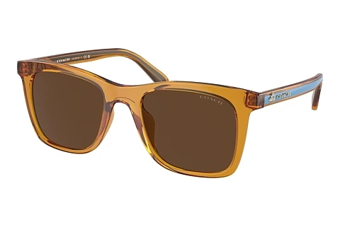 solbrille Coach CH561 (HC8374U 57483G)