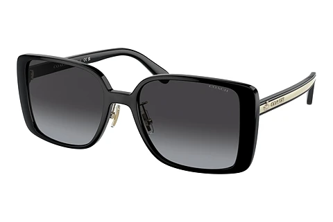 Ophthalmic Glasses Coach CH562 (HC8375 50028G)