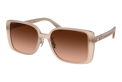 Ophthalmic Glasses Coach CH562 (HC8375 57475M)