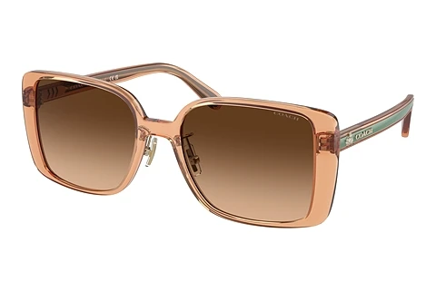 Ophthalmic Glasses Coach CH562 (HC8375 574974)