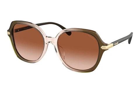 Ophthalmic Glasses Coach CL925 (HC8377U 540013)