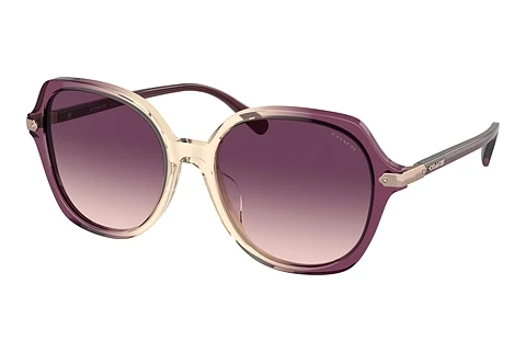 Ophthalmic Glasses Coach CL925 (HC8377U 57737W)