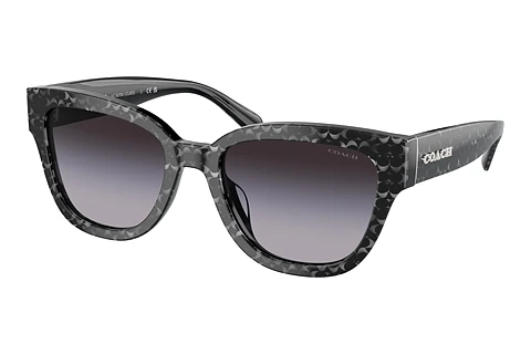 Ophthalmic Glasses Coach CL920 (HC8379U 55208G)