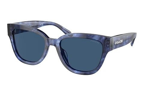 Ophthalmic Glasses Coach CL920 (HC8379U 583755)