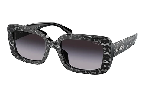 solbrille Coach CL922 (HC8380U 55208G)