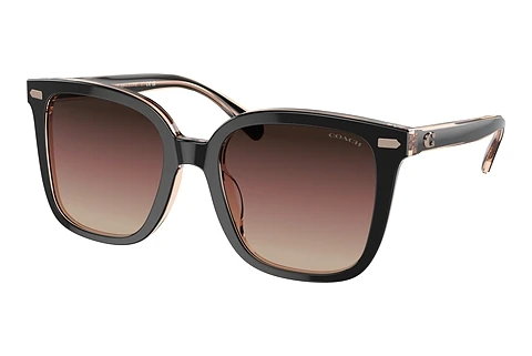 Ophthalmic Glasses Coach CL918 (HC8381U 5781E2)