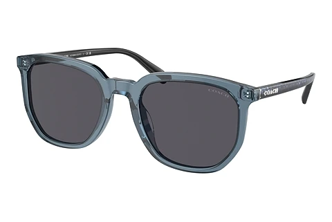 Ophthalmic Glasses Coach CL911 (HC8384U 579487)