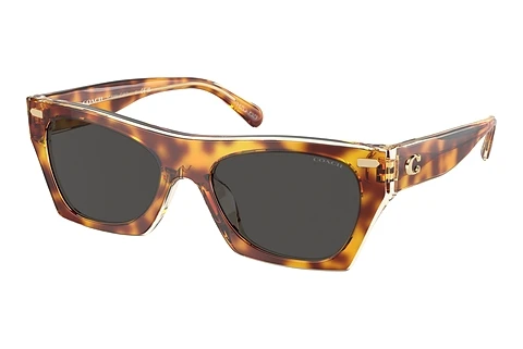 Ophthalmic Glasses Coach CL917 (HC8389U 575687)