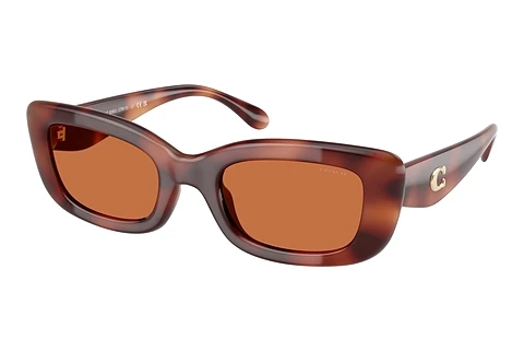 Ophthalmic Glasses Coach CR610 (HC8390U 577473)