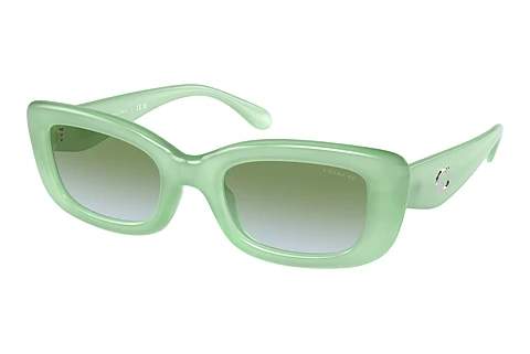 Ophthalmic Glasses Coach CR610 (HC8390U 5807I7)