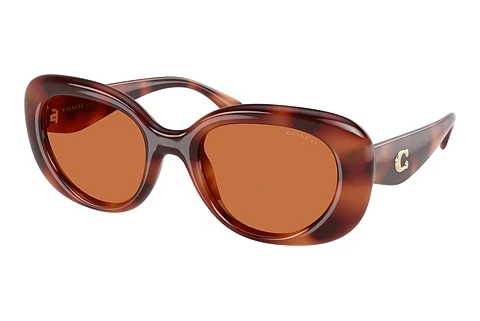 Ophthalmic Glasses Coach CR609 (HC8391U 577473)