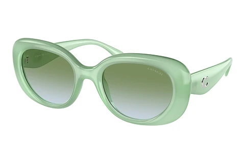 Ophthalmic Glasses Coach CR609 (HC8391U 5807I7)
