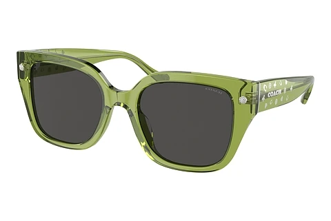 Ophthalmic Glasses Coach CR611 (HC8392U 581087)