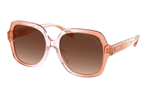 Ophthalmic Glasses Coach CR614 (HC8395U 5812T5)