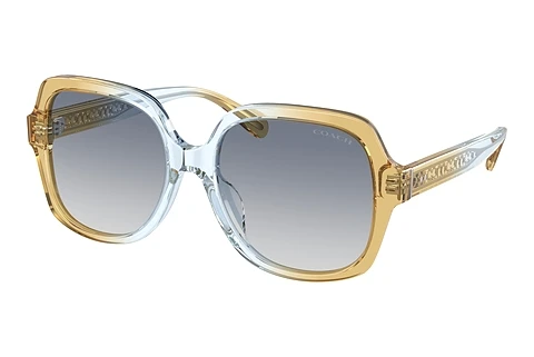 Ophthalmic Glasses Coach CR614 (HC8395U 581435)