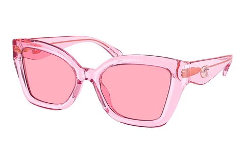 Ophthalmic Glasses Coach CS544 (HC8405U 583084)