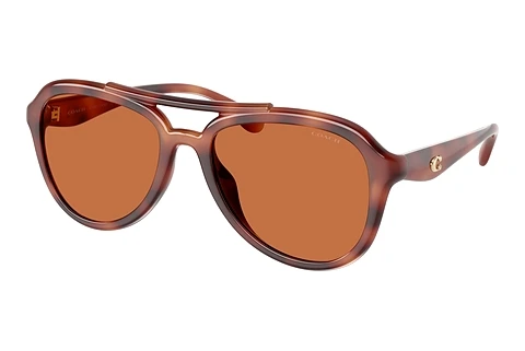Ophthalmic Glasses Coach CW183 (HC8406U 577473)