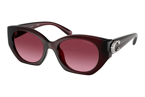 Ophthalmic Glasses Coach CW194 (HC8407U 53938H)