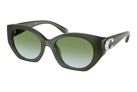 Ophthalmic Glasses Coach CW194 (HC8407U 584017)