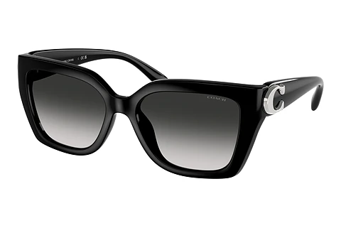 solbrille Coach CW195 (HC8408U 50023C)