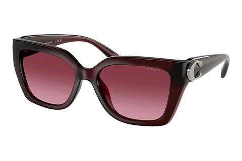 Ophthalmic Glasses Coach CW195 (HC8408U 53938H)