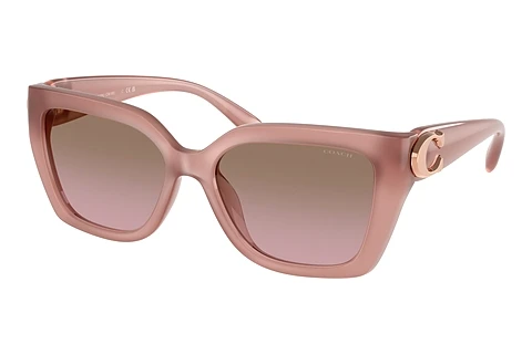 Ophthalmic Glasses Coach CW195 (HC8408U 583914)