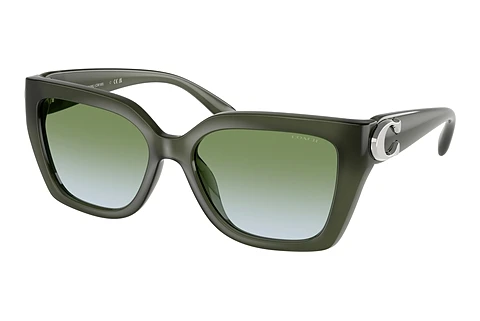 solbrille Coach CW195 (HC8408U 584017)