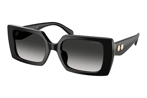 Ophthalmic Glasses Coach CW224 (HC8409U 50023C)