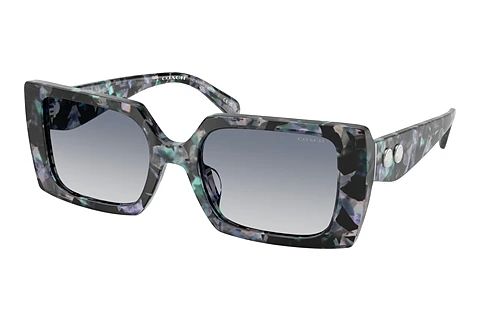 Ophthalmic Glasses Coach CW224 (HC8409U 584535)