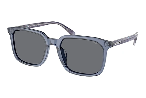 Ophthalmic Glasses Coach CW405 (HC8411U 582087)