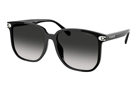 Ophthalmic Glasses Coach CW419 (HC8413BD 50023C)