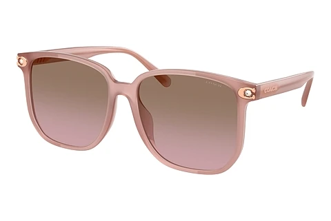 Ophthalmic Glasses Coach CW419 (HC8413BD 583914)