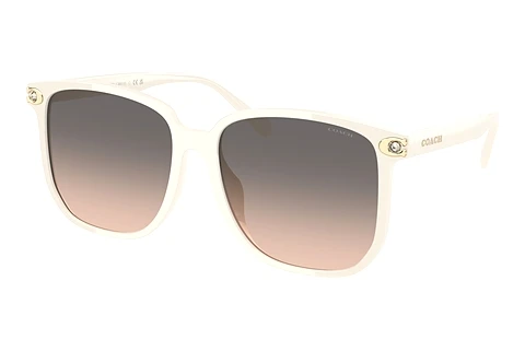 Ophthalmic Glasses Coach CW419 (HC8413BD 5853G9)